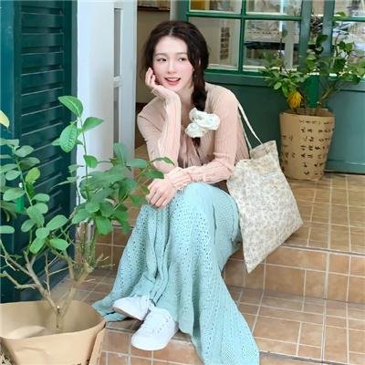 诉讼女王